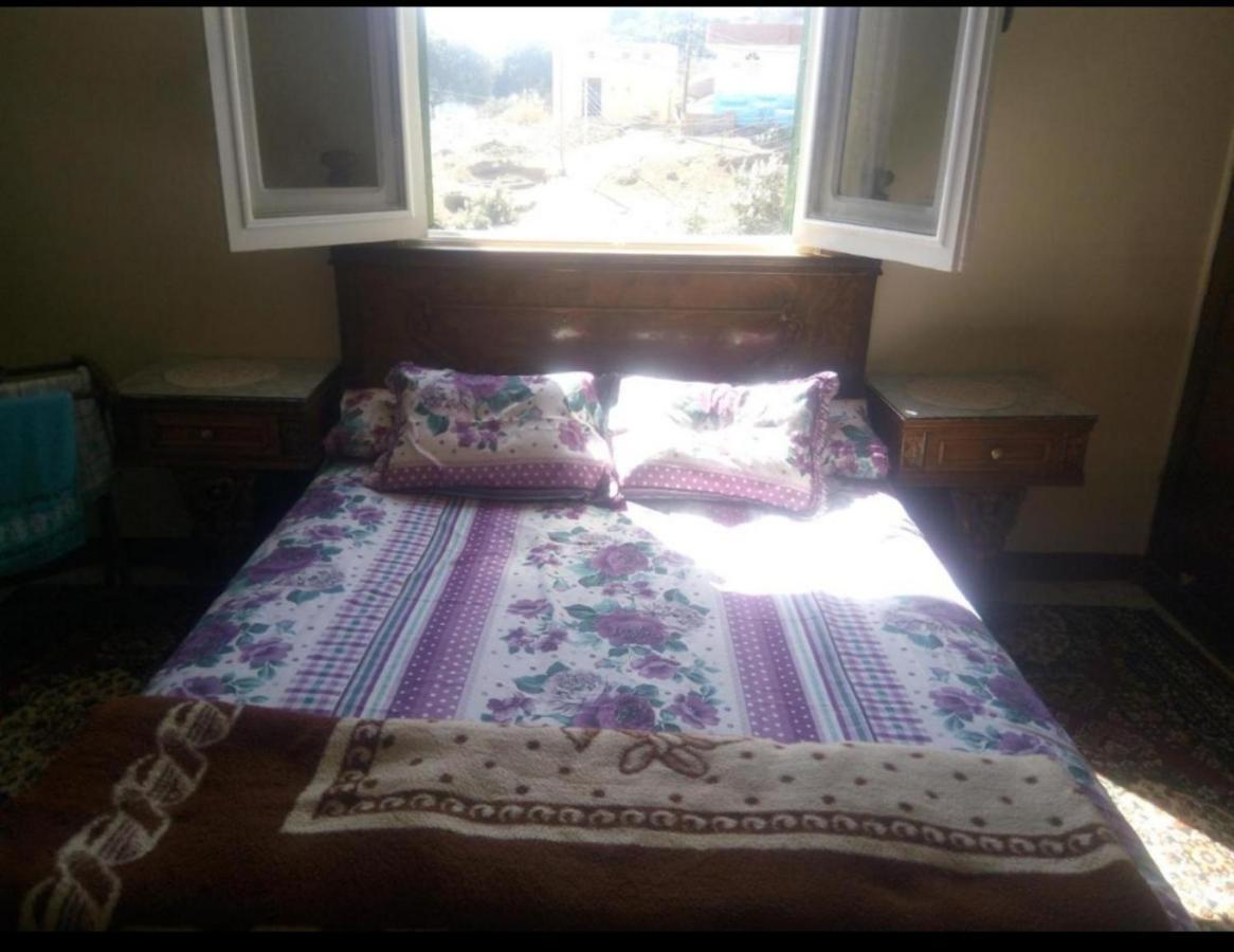 Mastonkel Hotell Aswan Eksteriør bilde