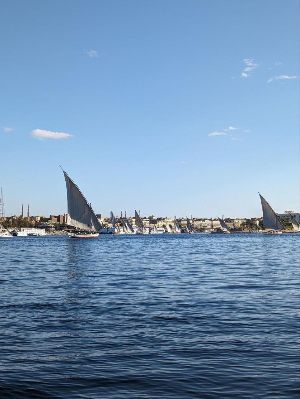 Mastonkel Hotell Aswan Eksteriør bilde